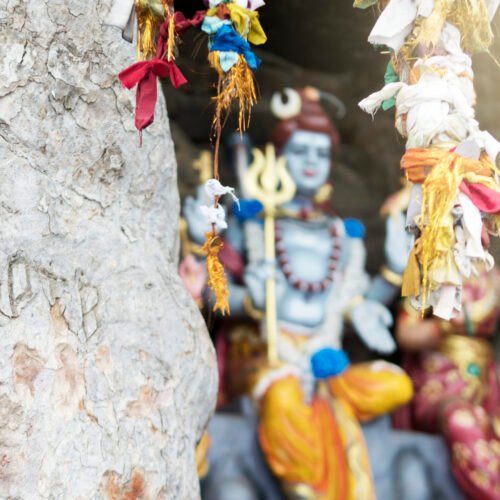 ribbons tied to branches, koneswaram kovil temple, trincomalee, sri lanka