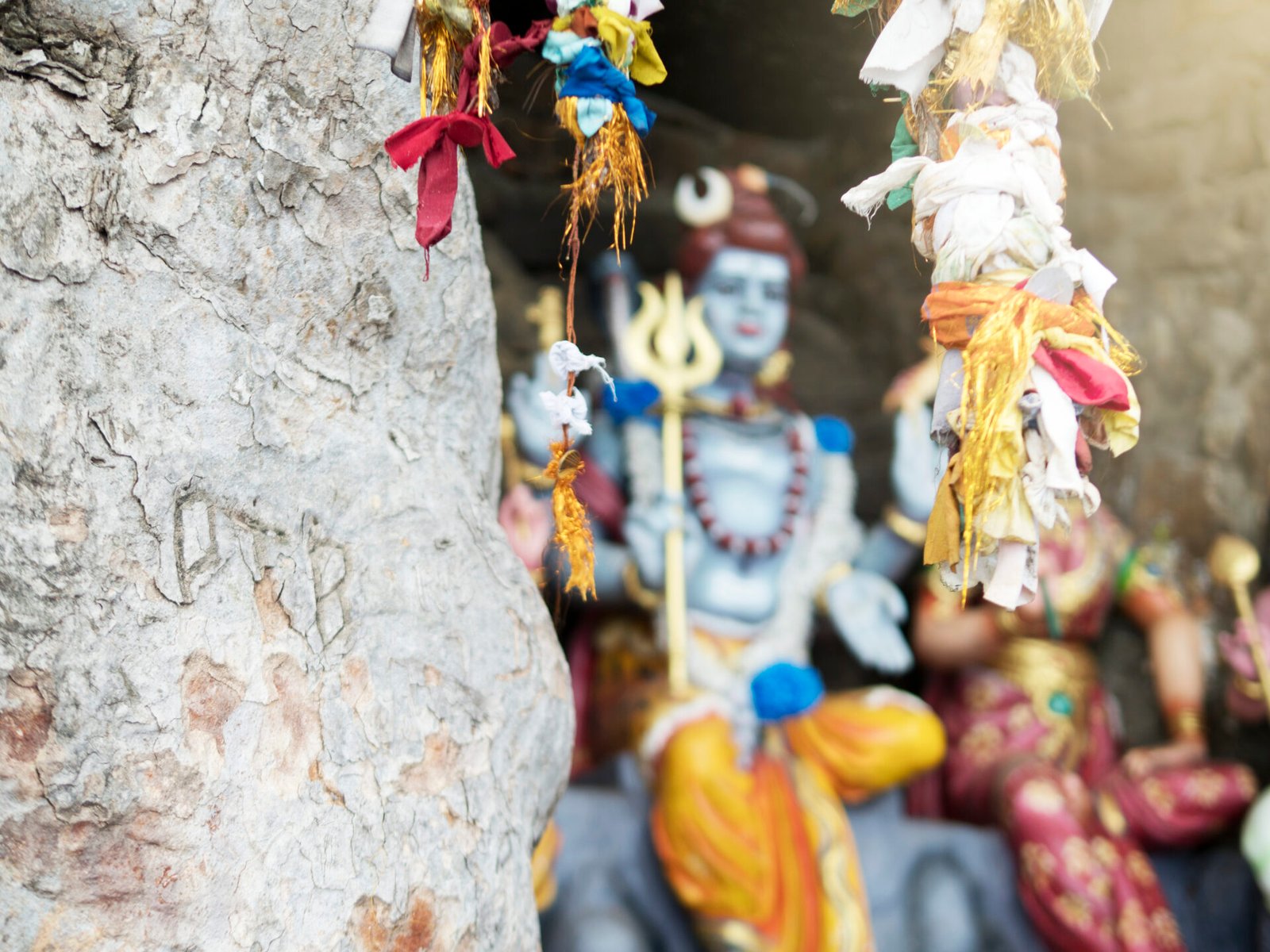 ribbons tied to branches, koneswaram kovil temple, trincomalee, sri lanka